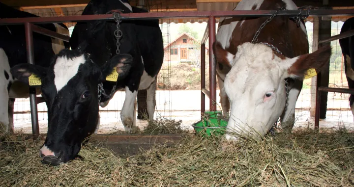 Iz Spreče pomažu opstanku farmi u BiH