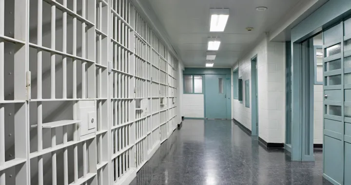 Sin srbijanskog biznismena iza&scaron;ao na slobodu, od kaucije će vam se zavrtiti u glavi