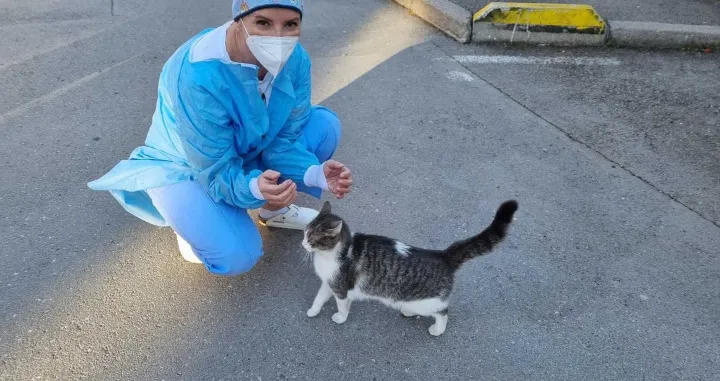 Prof. dr. Izetbegović iznenadila objavom na dru&scaron;tvenim mrežama i poručila: Dobrodo&scaron;la nam je svaka pomoć...