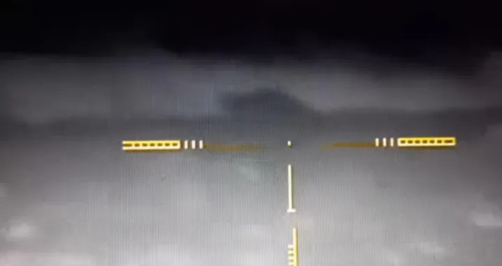 (VIDEO) Hrvatska: Puma u naseljenim mjestima prestravila stanovništvo