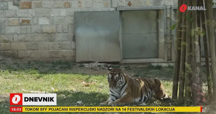 (VIDEO) Pionirska dolina - idealan bijeg od visokih temperatura