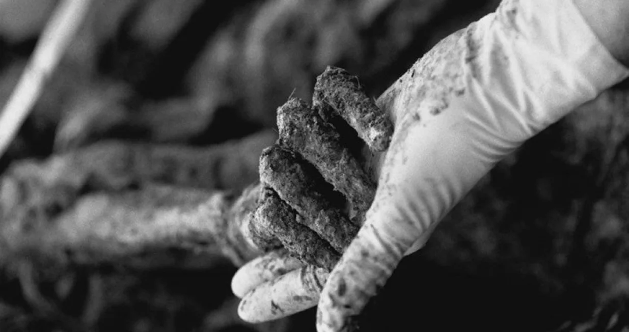 Genocid Srebrenica// 