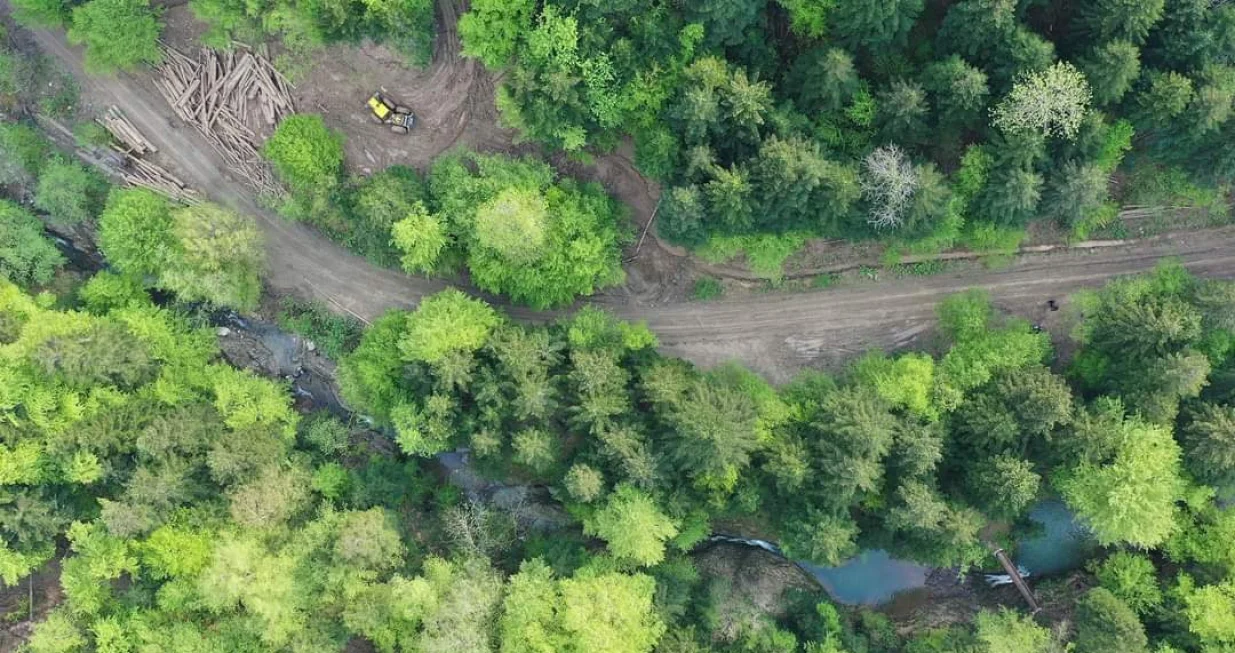 Planina Konjuh meta nekonstrolisane sječe &scaron;ume/Karton Revolucija