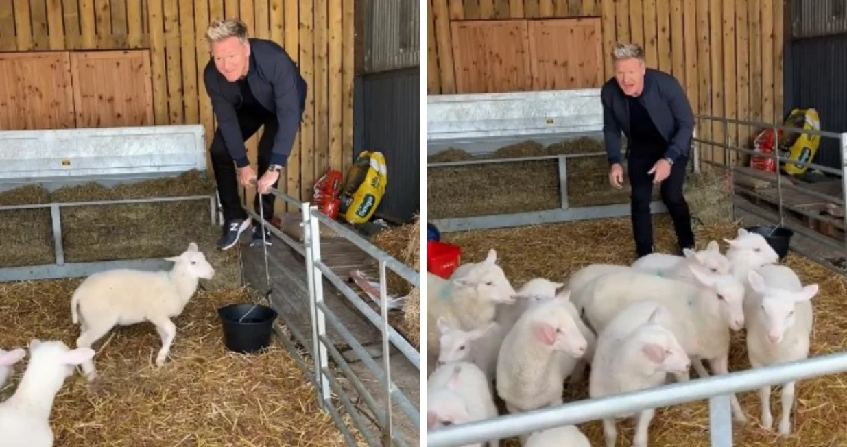 Ramsey je mislio da će biti zanimljiv/ Canva/