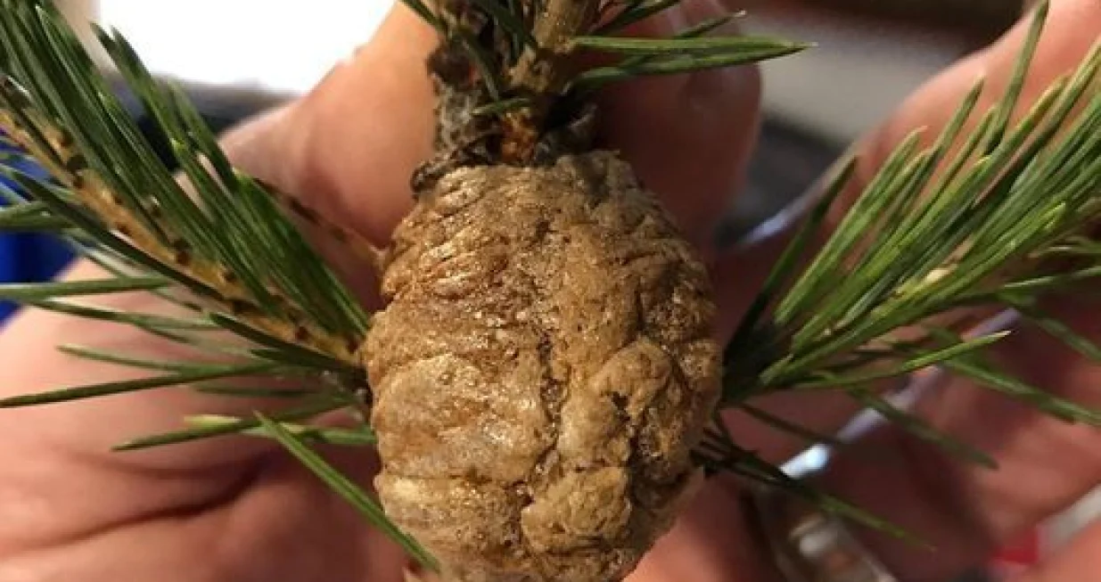 Eerie County Ohio/ Facebook/