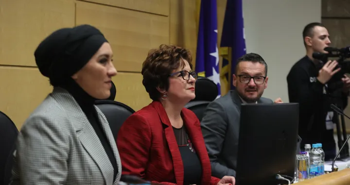 Sjednica Predstavničkog doma Parlamenta F bih/Didier Torche