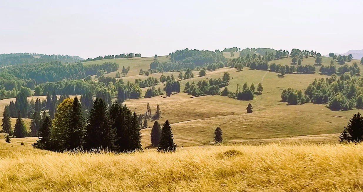 Vučja planina Teslić/Mreža Za Za&scaron;titu Prirode Bih