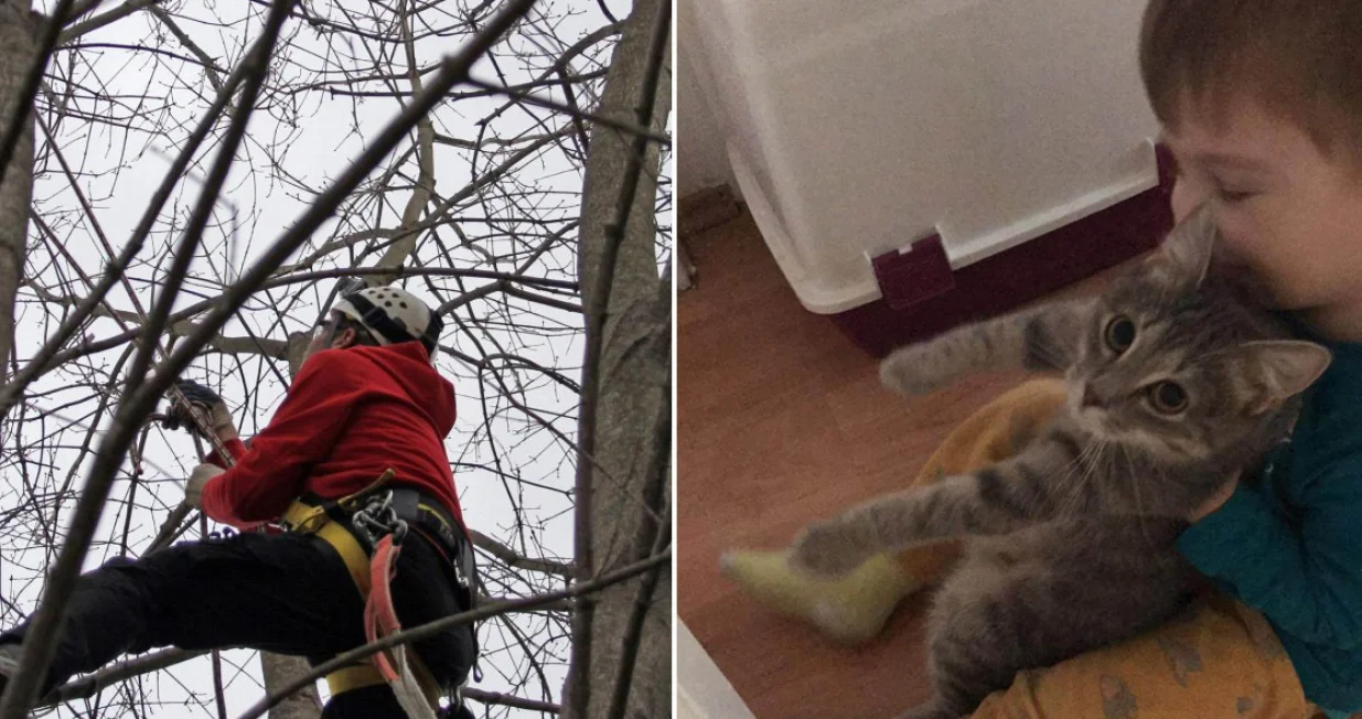 GSS Zenica/Oslobođenje/