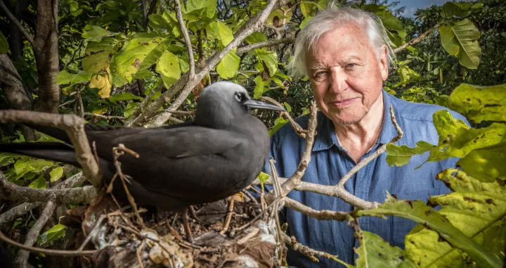 Globalna pustolovina Davida Attenborougha, serijal/