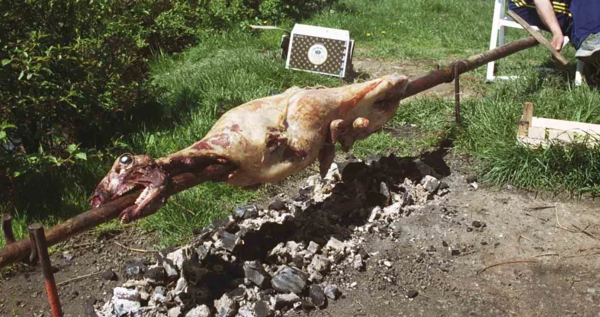 Janje na ražnju/Ilustracija/