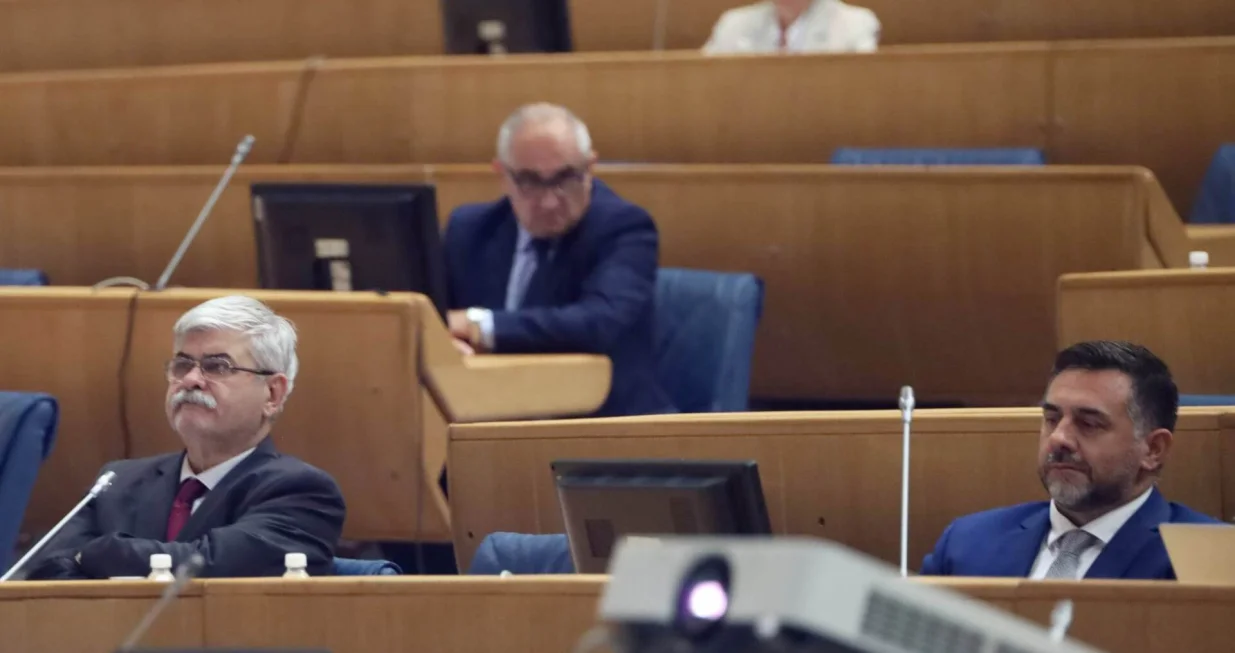 Predstavnički dom Parlament BiH sjednica/Didier Torche/