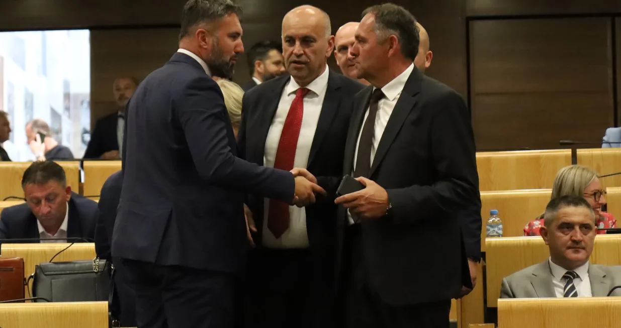 Sjednica Doma naroda Parlamenta Federacije BiH - Energetika rasprava/Senad Gubelić