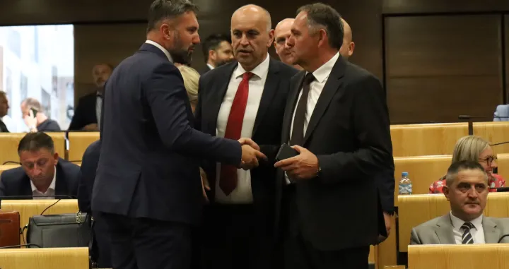 Sjednica Doma naroda Parlamenta Federacije BiH - Energetika rasprava/Senad Gubelić