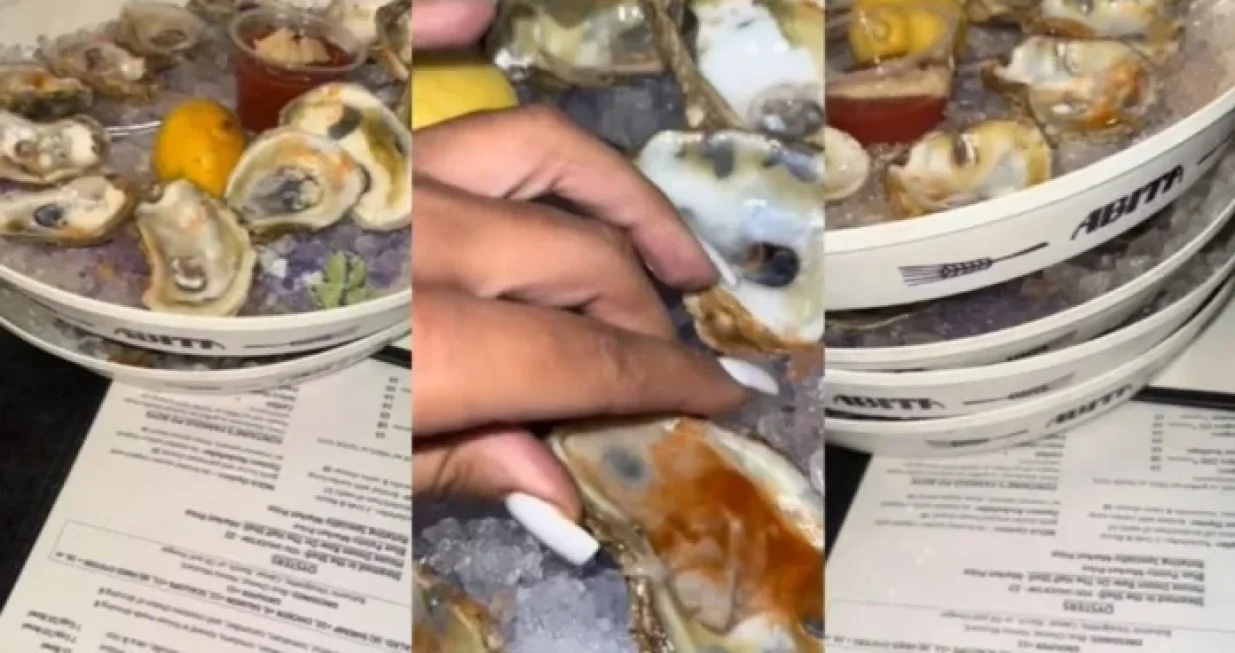 kamenice spoj tiktok/