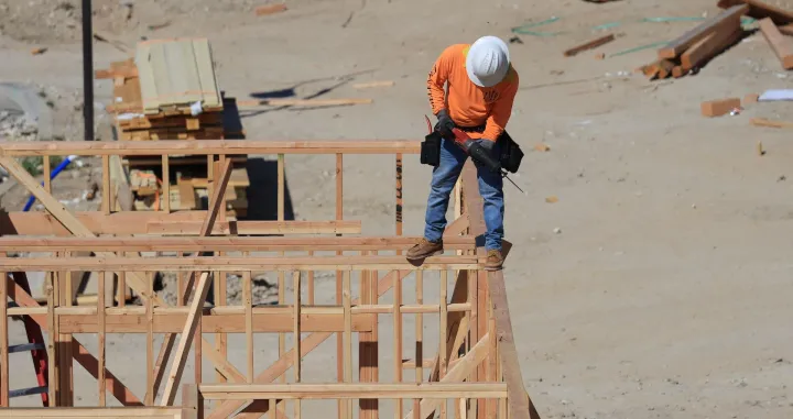 U Australiji se gradi najviši drveni neboder na svijetu/Ilustracija/Pexels/