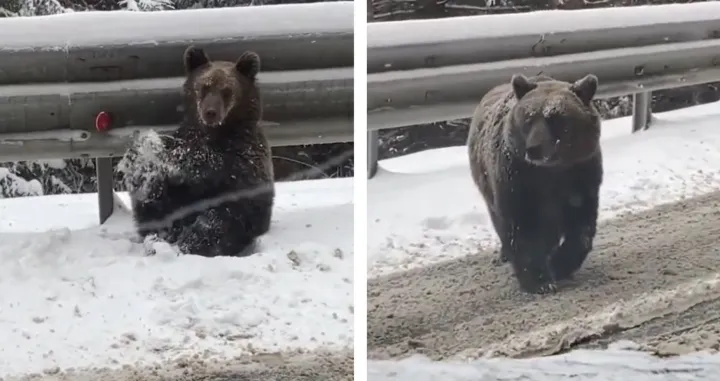 Za&scaron;t ne smapavju zimski san/Screenshot/