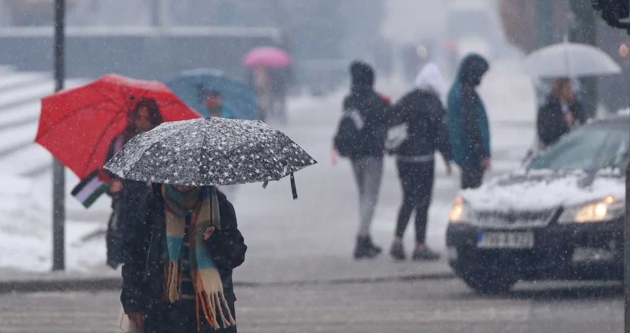 Decembarski snijeg/Senad Gubelić