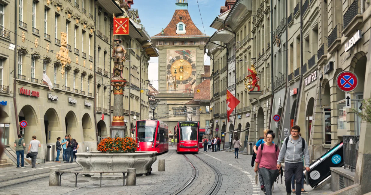 &scaron;vicarska bern/