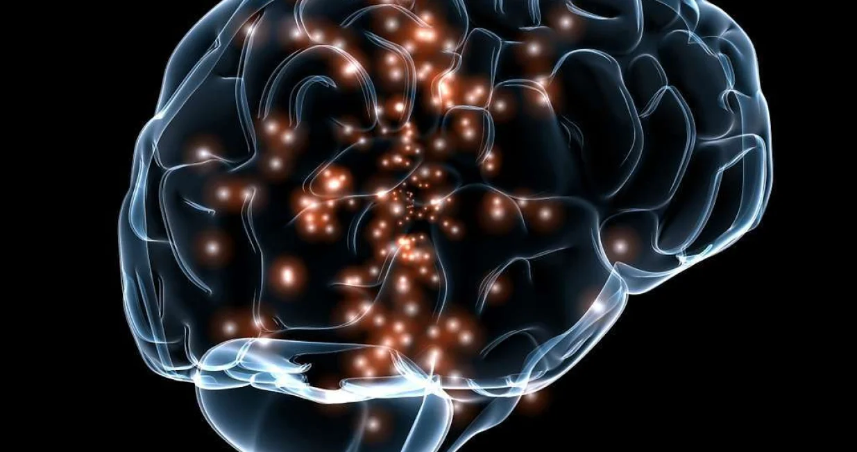 Moždana aktivnost je usko povezana sa crijevnom florom/ PICRYL/