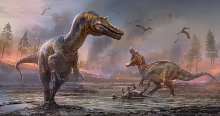 dinosauri fdb/