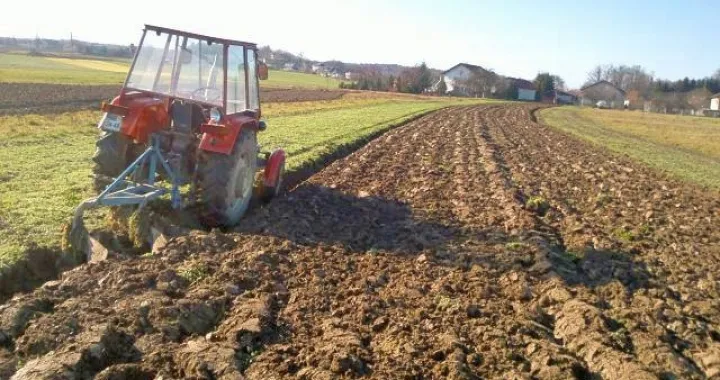 sjetva hadzici/