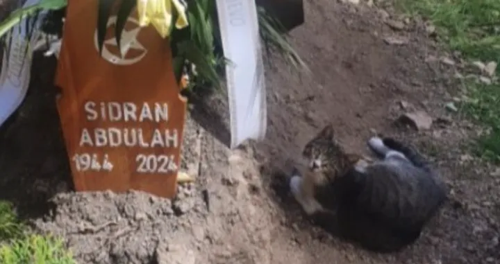 mačka abdulah sidran mezar/