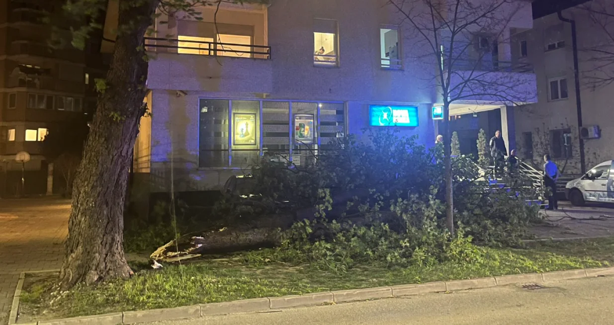 vjetar stablo hladna fronta banja luka twitter/