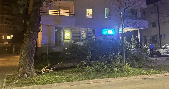 vjetar stablo hladna fronta banja luka twitter/