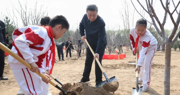 Xi Jinping posadio nekoliko sadnica drveća/