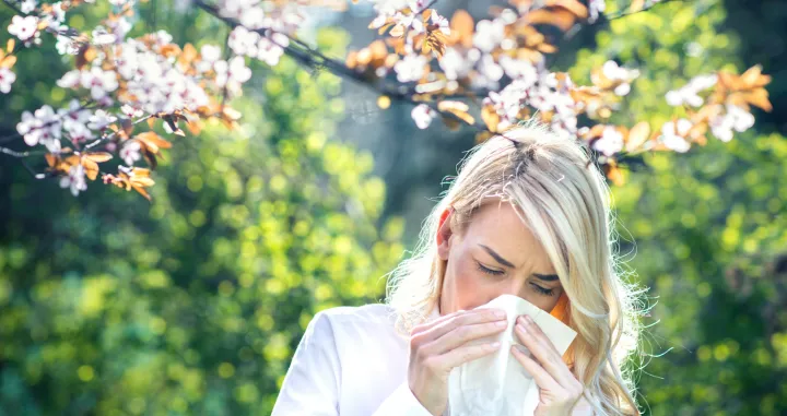 alergija u proljeće/Bluecinema