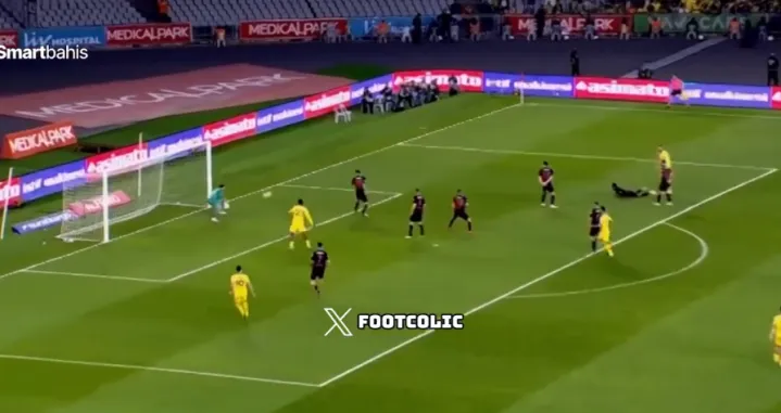 Edin Džeko - fudbaler Fenera