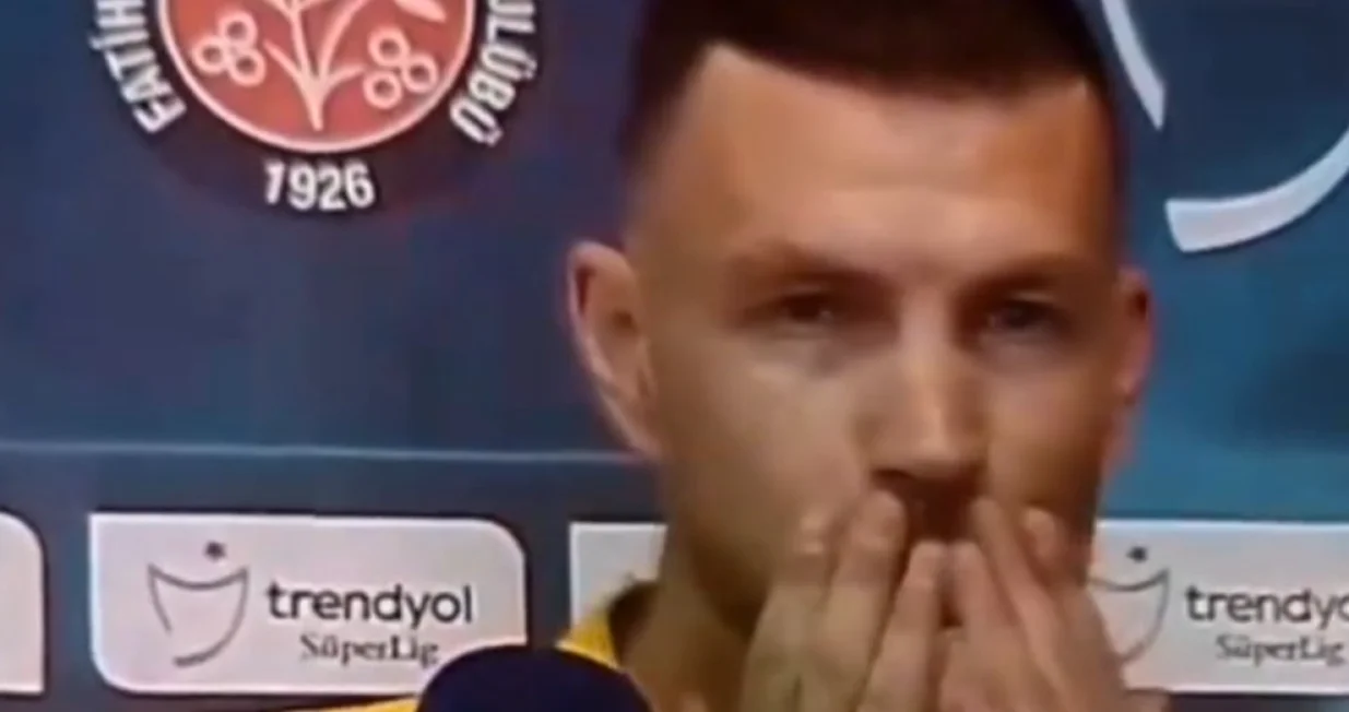 Edin Džeko - igrač Fenera