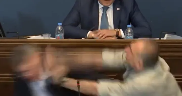 tuča u gruzijskom parlamentu gruzija screenshot/