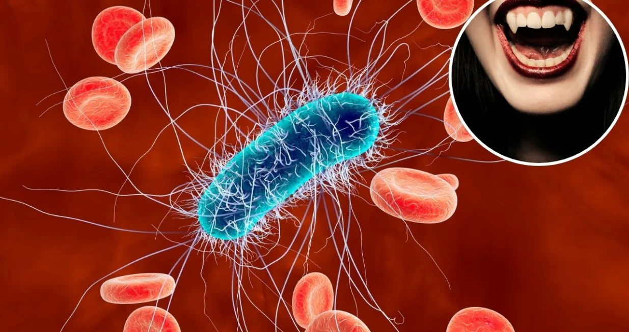 E&scaron;erihija i Salmonela su neke od bakterija žednih ljudske krvi/ Canva/Amir9937