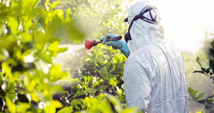 Pedsticida se nemoguće 100% riješiti ali evo šta možete uraditi/