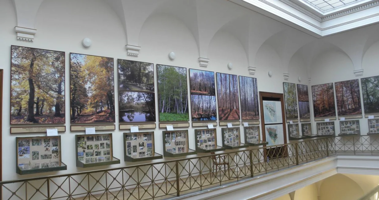 Stalna izložba "Šume Bosne i Hercegovine" u Zemaljskom muzeju BiH čiji je autor dr. Čedomil Šilić (Foto: D. Šoljan)/