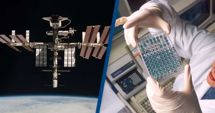 iss svemirska stanica bakterija mutacija/