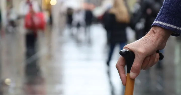 Stari, penzioner, penzioneri/Senad Gubelić