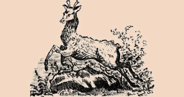 test zapažanja, mozgalica, skrivalica, ko&scaron;uta, pronađite psa/Cdm