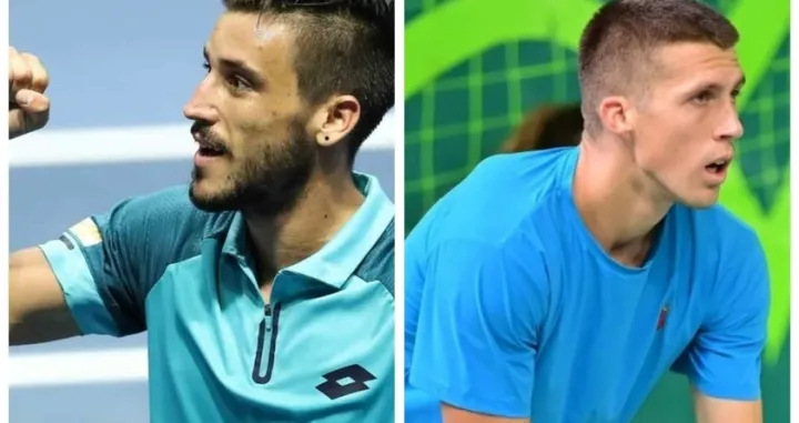 damir dzumhur nerman fatic