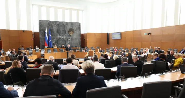 Državni zbor Slovenije/Matija Su&scaron;nik