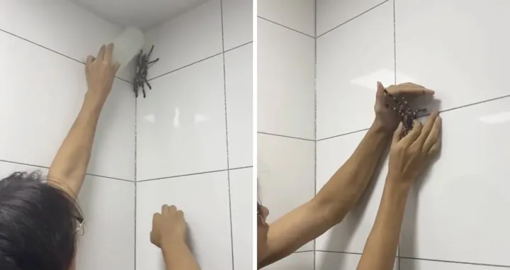 Ovo je bilo jako naivno/ TikTok/