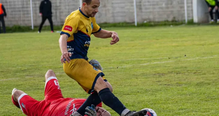 Milan Šikanjić 