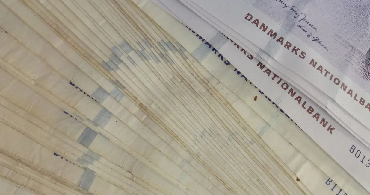 Amira Smajić ih je prevarila za 1.2 miliona kruna/ Ilustracija/