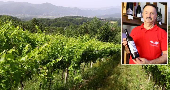 zasadi vinove loze u blizini Zepca i vinko/Muhamed Tunovic