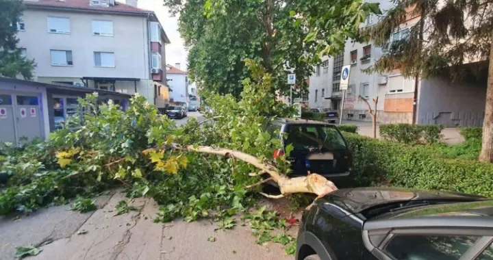 Ogranak zdravog stabla pao i oštetio automobil/ Vatrogasno spasilačka brigada/