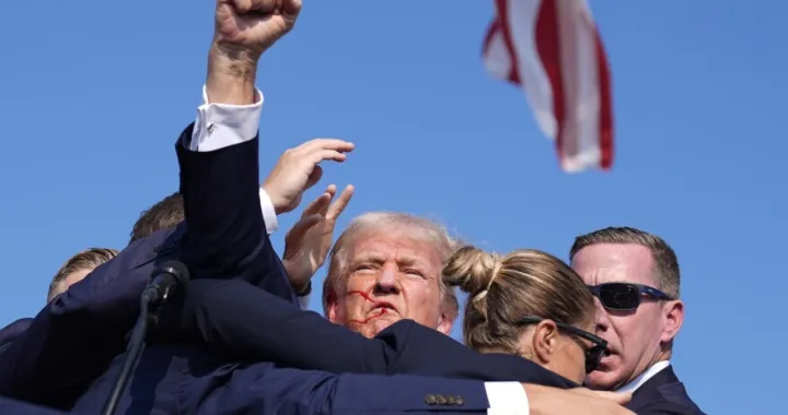 donald trump/
