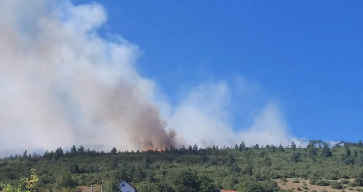 Požar ide nekoliko metara u visinu/ Srna/