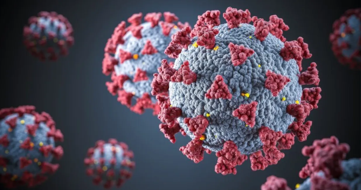 virus covida/