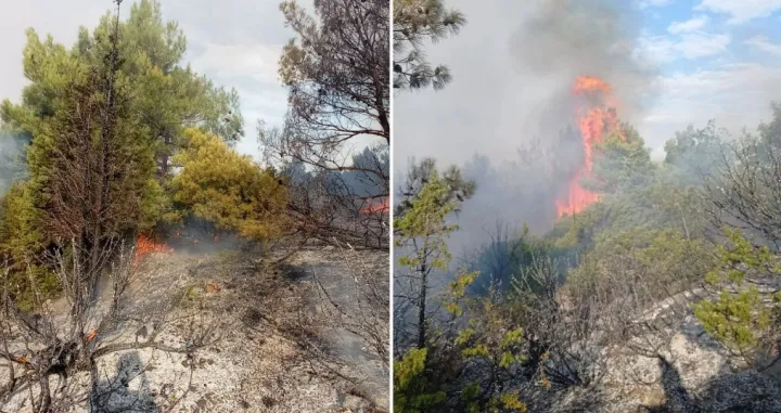 Požar na Fortici/PVJ Mostar/Facebook/